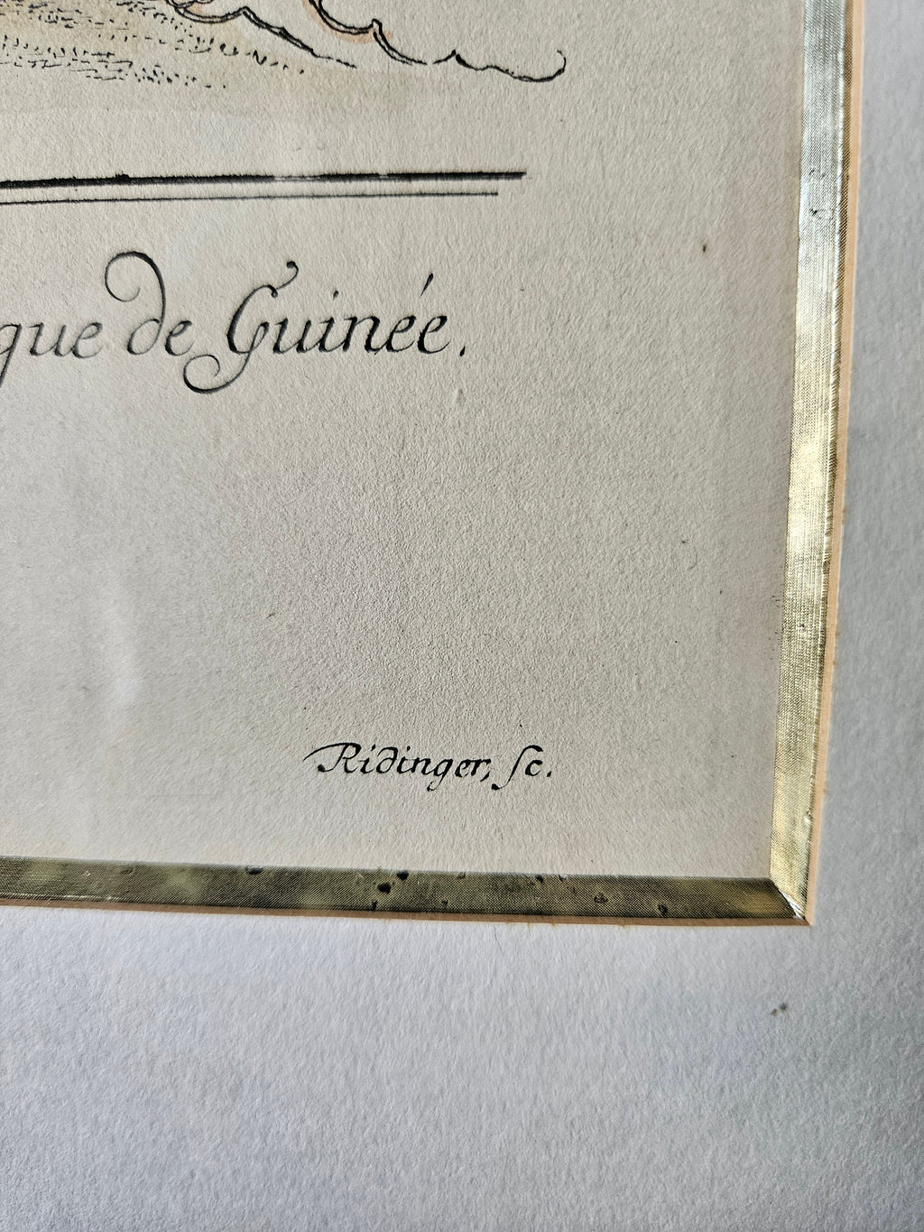 Antieke Ingekleurde Gravure van een Baviaan – Gesigneerd Ridinger