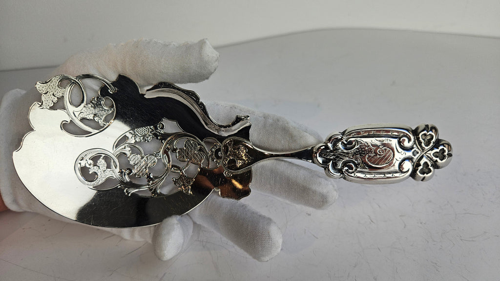 Zilveren schep voor diner