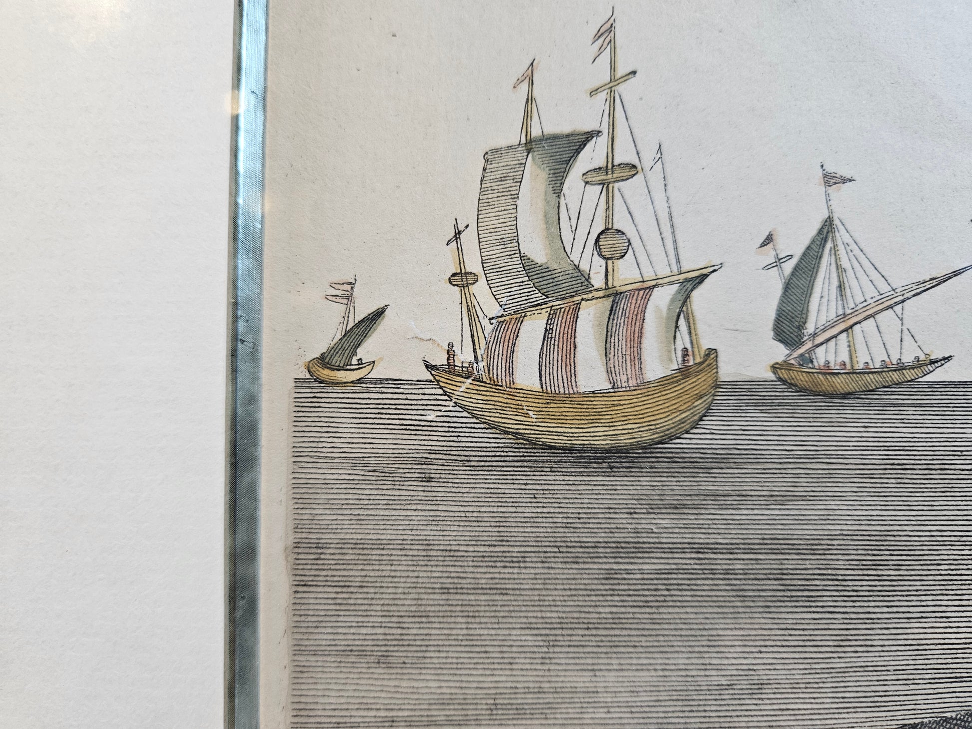 Antieke Kopergravure M.E. Ridinger (ca. 1768) – "Vitulua Marinus" (Zeehond/Zeekalf) – Handgekleurd & Ingelijst