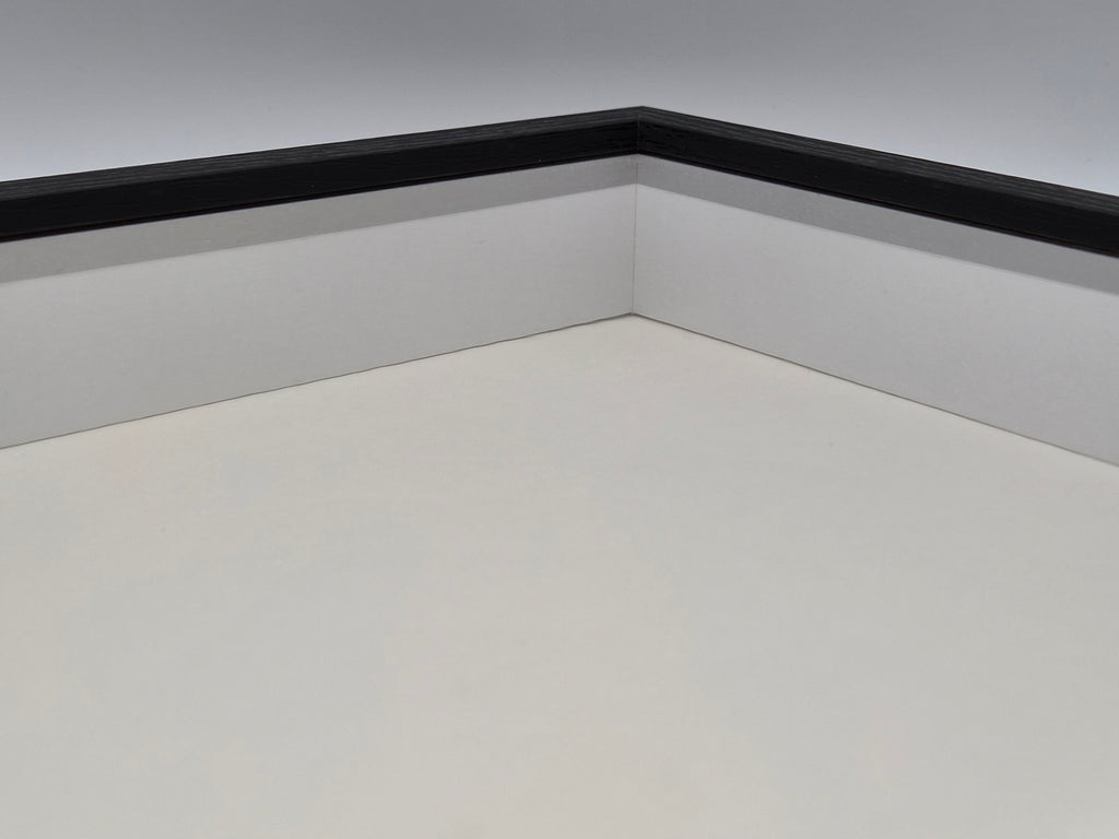 A4 Wandvitrine – Zwarte Displaybox voor Antiek & Verzamelobjecten