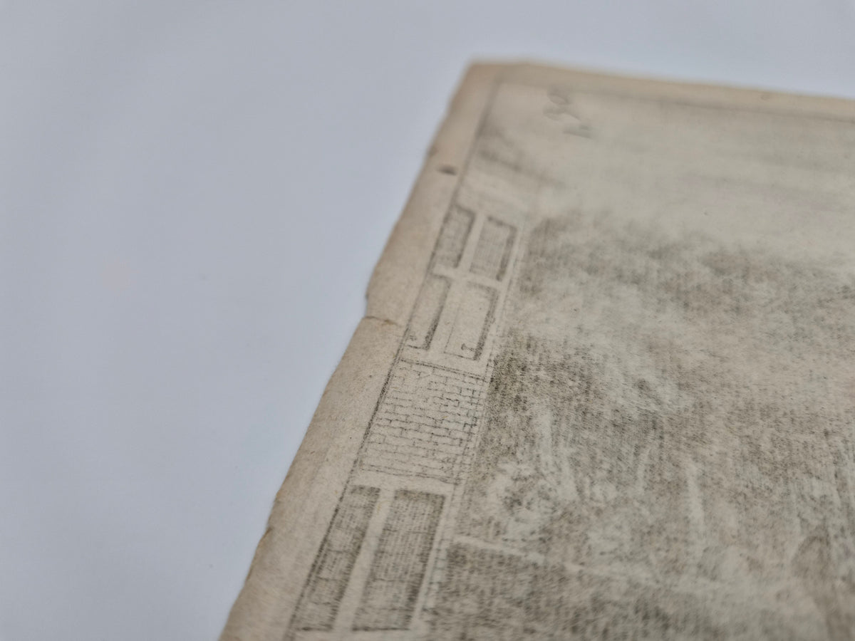 Gravure | De Rampzalige Doodt van Cornelis en Joan de Wit | Romeyn de Hooghe